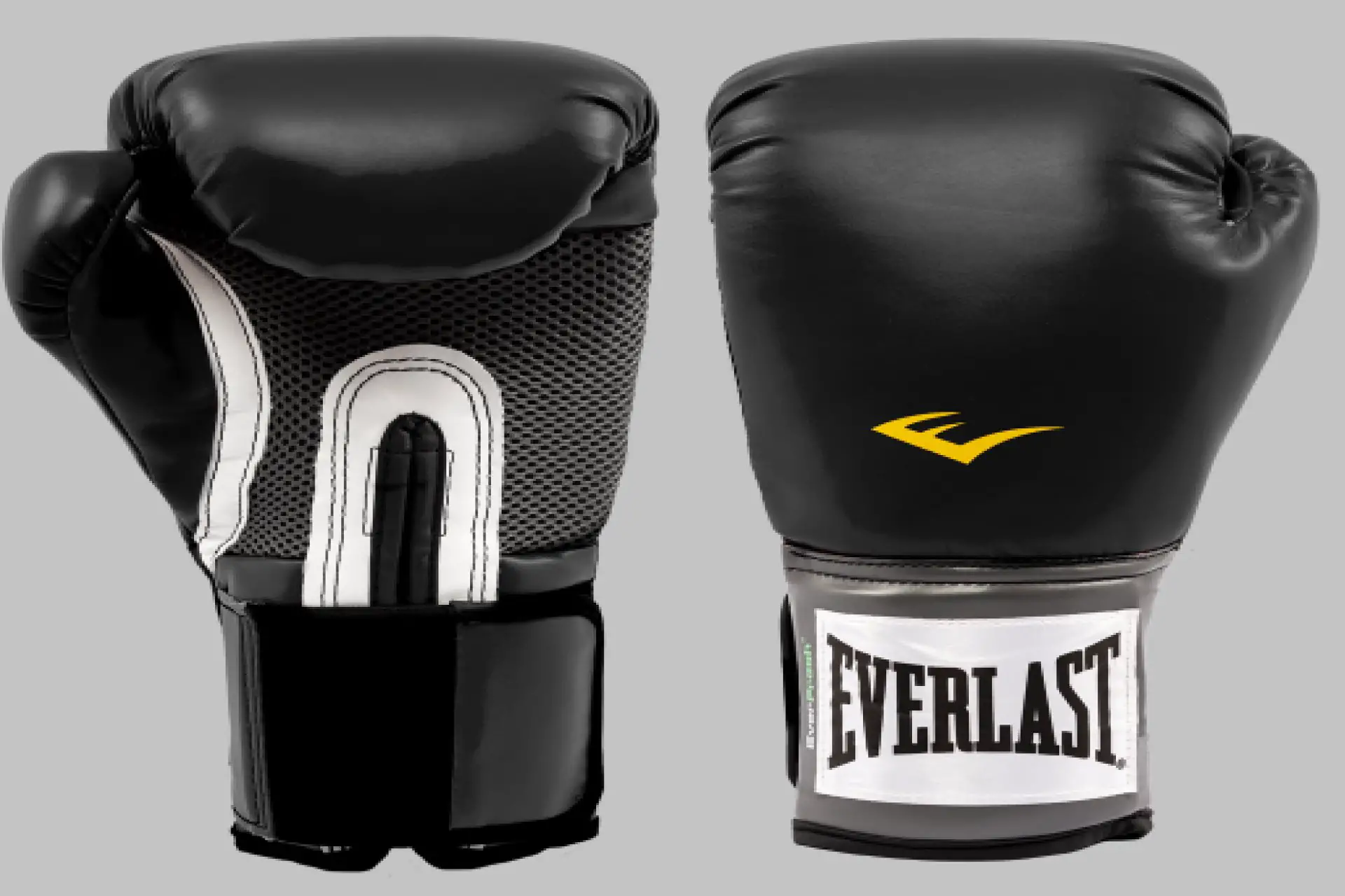 Everlast Pro Style Training Gloves (Featured-2)