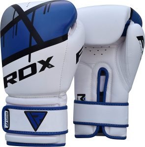 RDX Ego Boxing Gloves