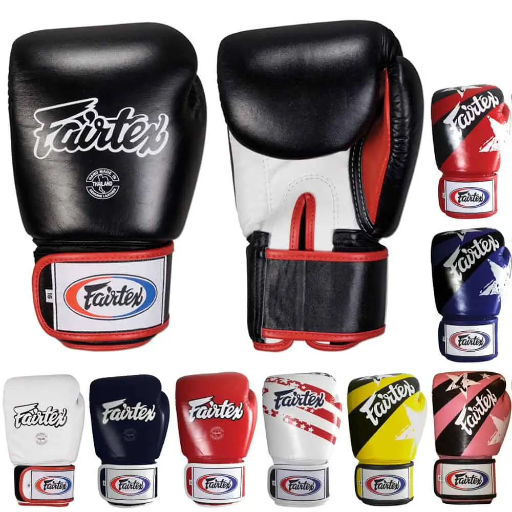 Fairtex Muay Thai Style Training Gloves