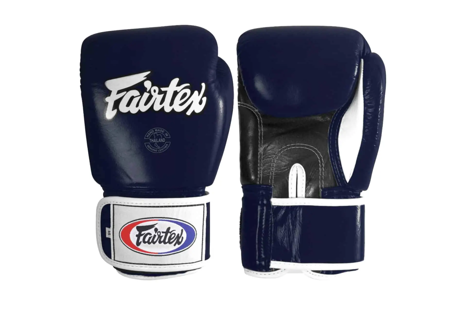 Fairtex Muay Thai Training Gloves Featured