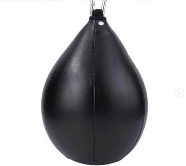 Speed Bags