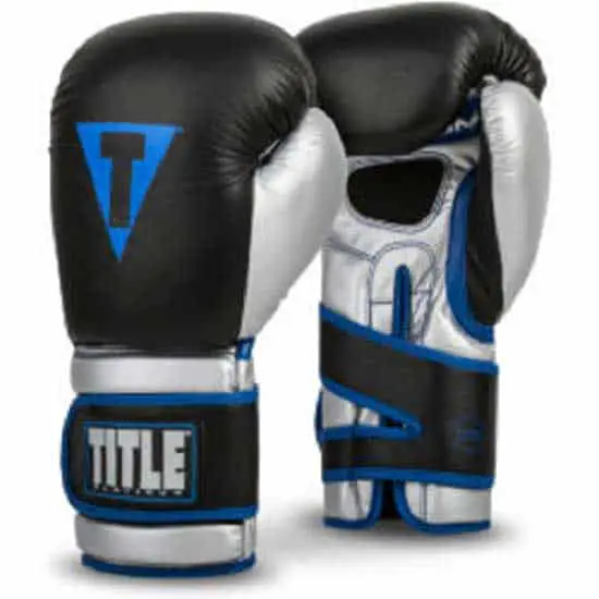 TITLE boxing gloves