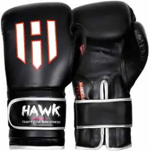 Hawk Boxing Gloves for Men & Women Training Pro Punching Heavy Bag Mitts MMA Muay Thai Sparring Kickboxing Gloves