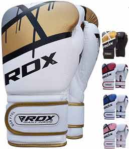 best boxing gloves for beginners professional fight