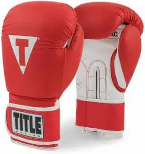 Title Boxing Pro Style Leather Training Gloves