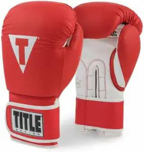 Pro Style Leather Training Gloves