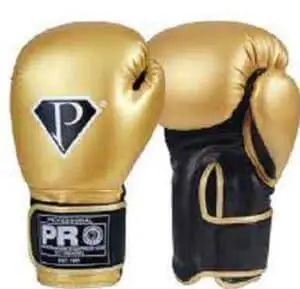 What kind of boxing gloves should I buy