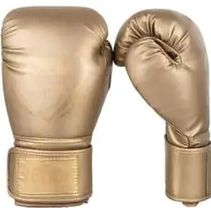 boxing gloves for training