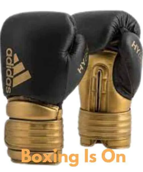 Adidas boxing gloves 