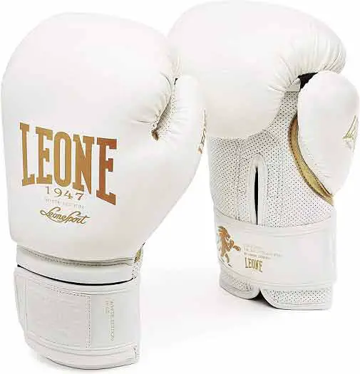 LEONE Boxing Gloves